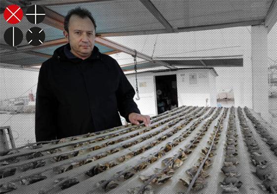 César Gómez, en las bateas del puerto de Valencia donde cría las ostras.