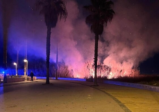 Incendio de un cañar.