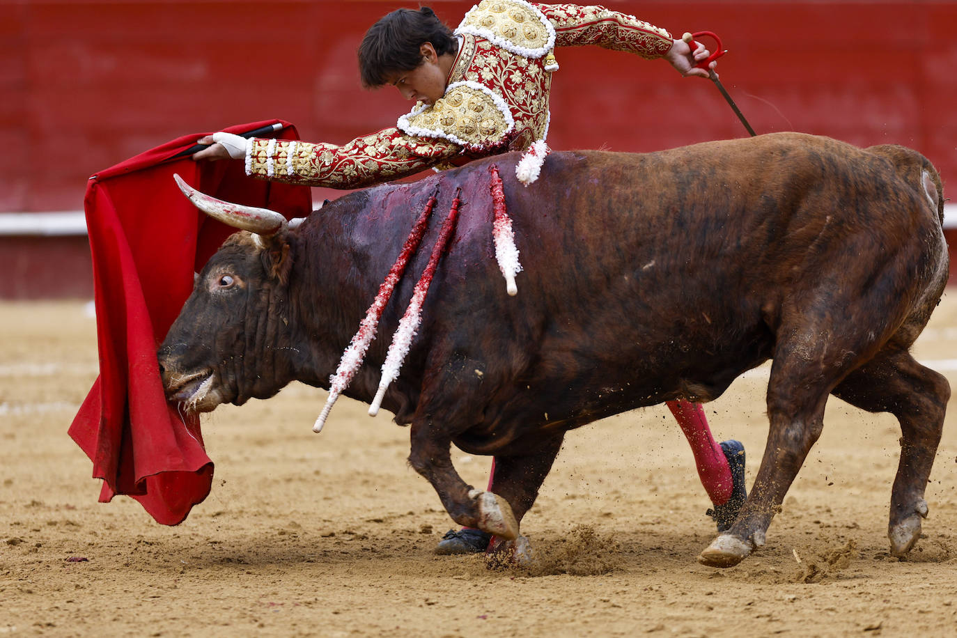 Fotos de la corrida de toros de la Feria de Fallas del 17 de marzo