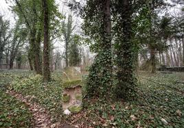 El 'cementerio de los locos' de Praga: un camposanto abandonado y maldito
