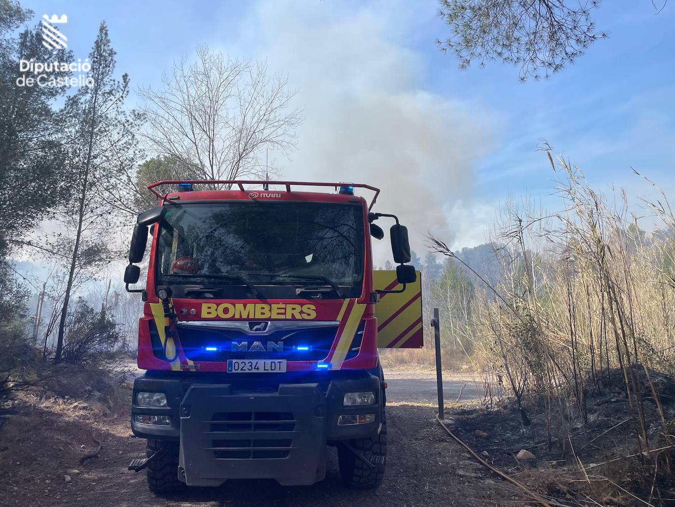 Imágenes del incendio en Fanzara