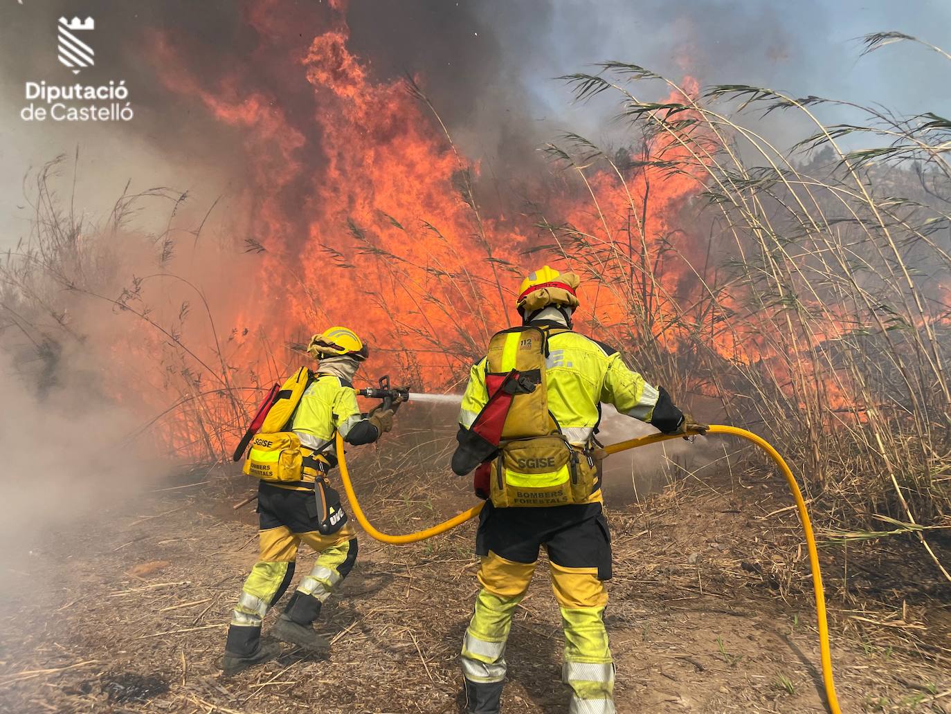 Imágenes del incendio en Fanzara