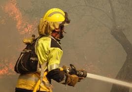 Imágenes del incendio en Fanzara