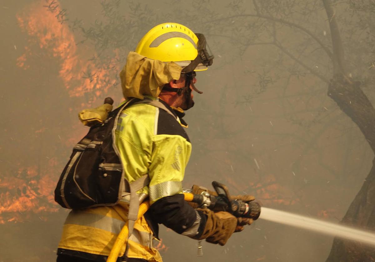 Imágenes del incendio en Fanzara