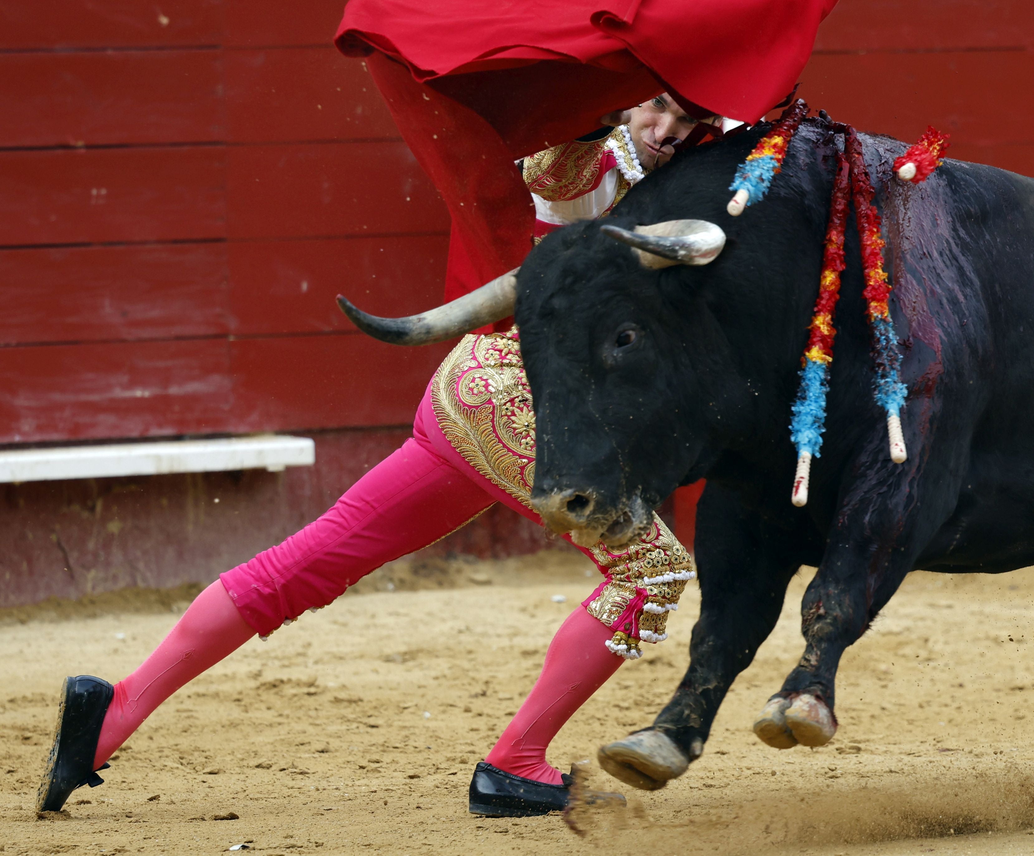 Fotos de la corrida de toros de la Feria de Fallas del 19 de marzo