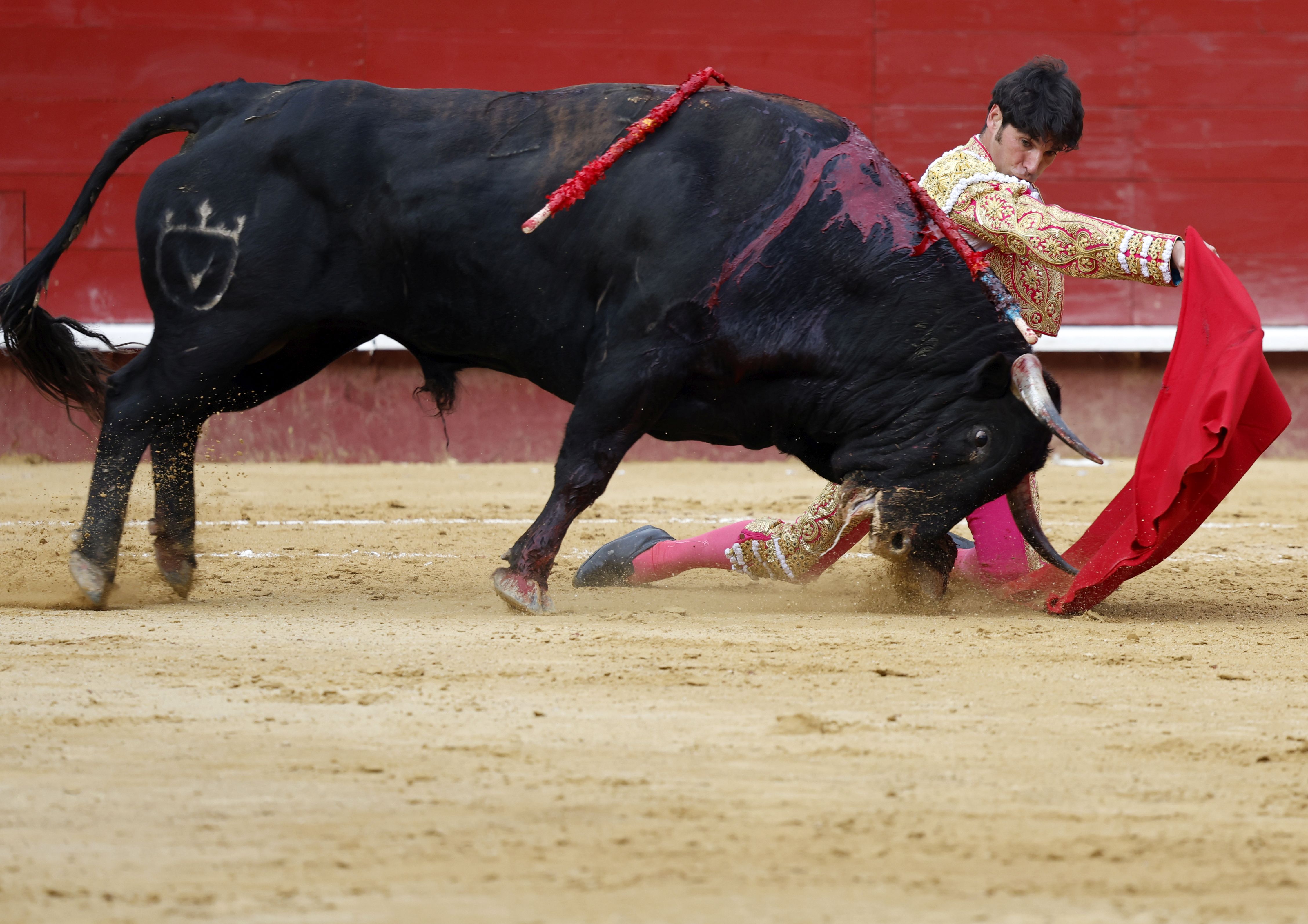 Fotos de la corrida de toros de la Feria de Fallas del 19 de marzo