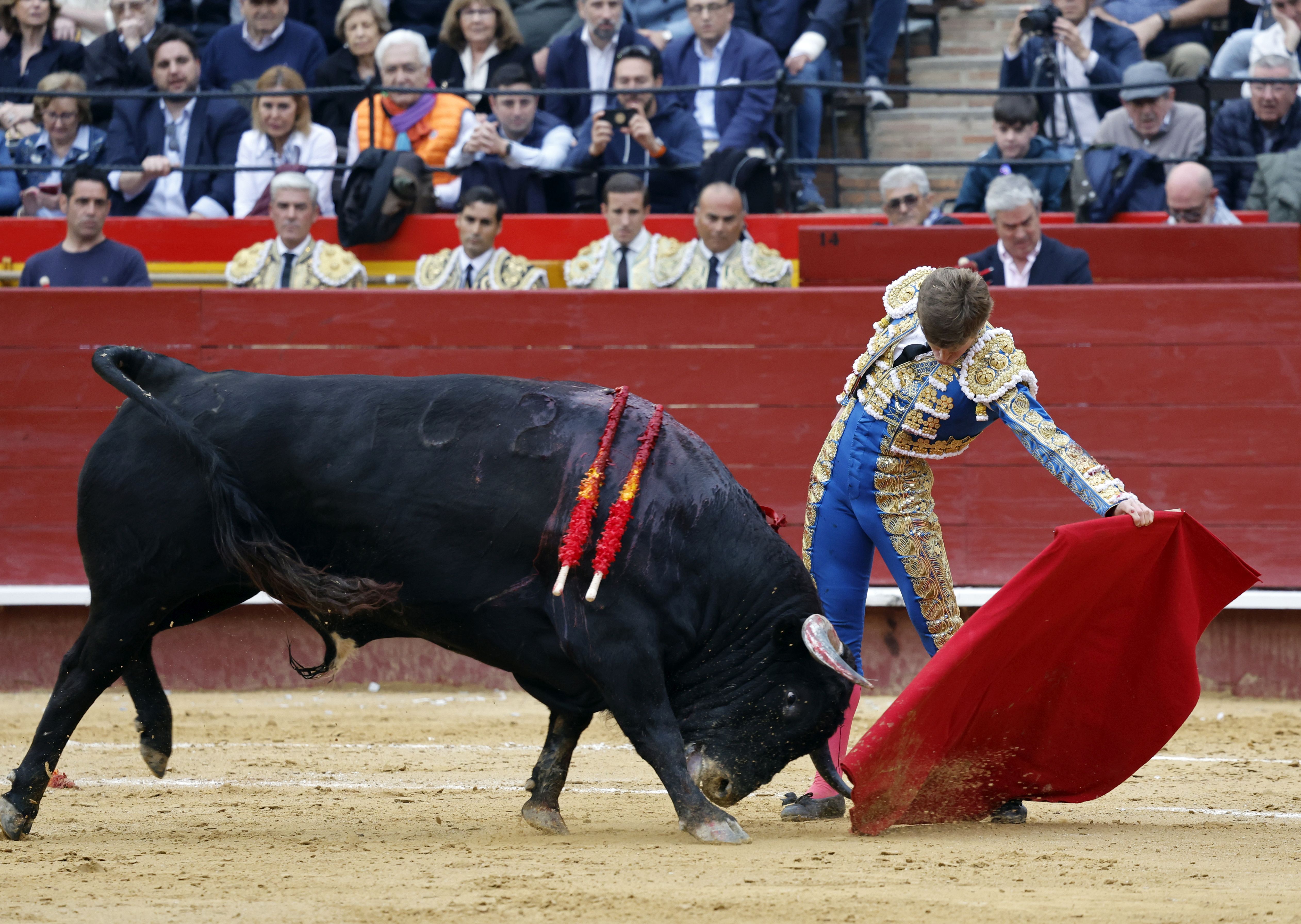 Fotos de la corrida de toros de la Feria de Fallas del 19 de marzo