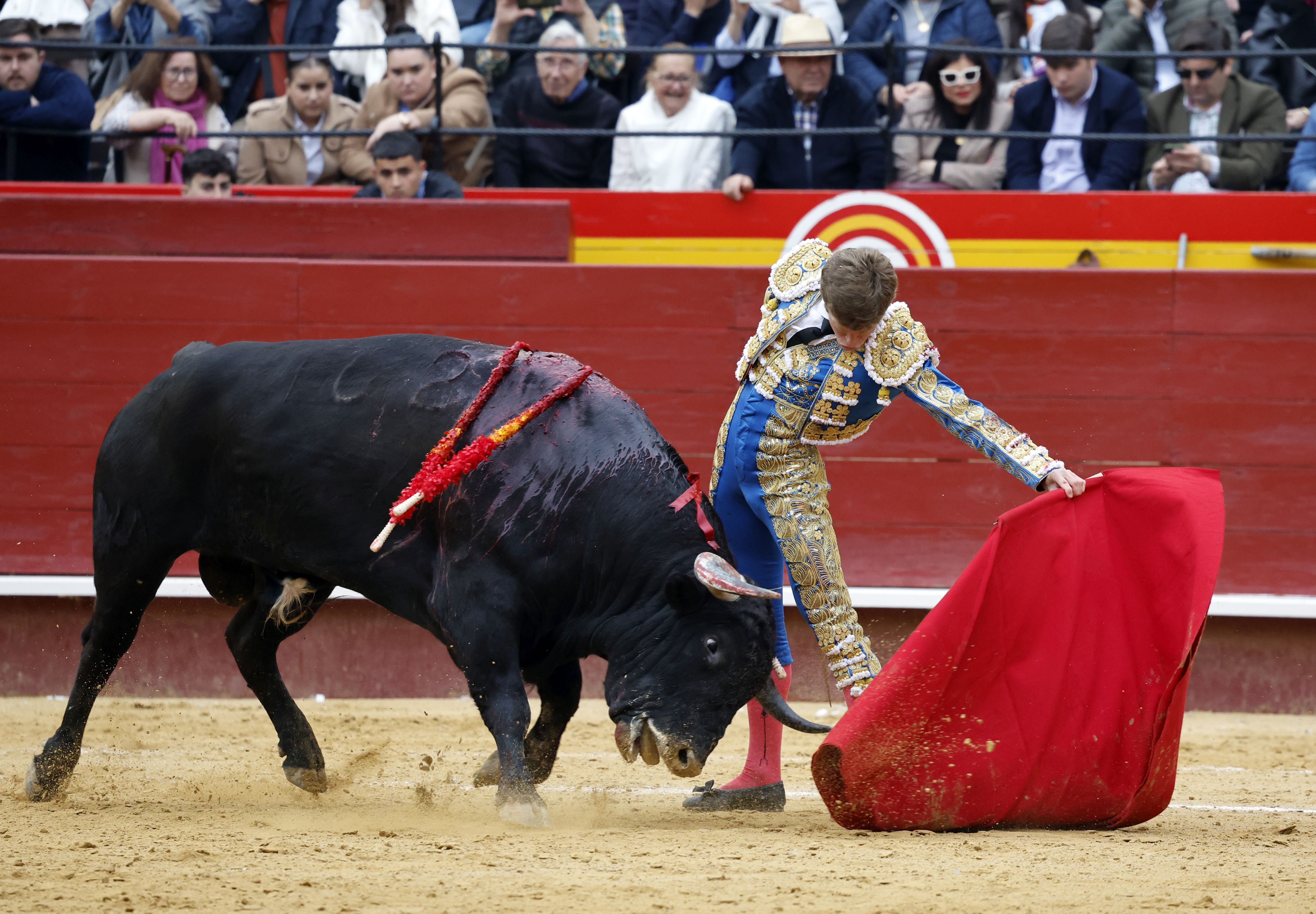 Fotos de la corrida de toros de la Feria de Fallas del 19 de marzo