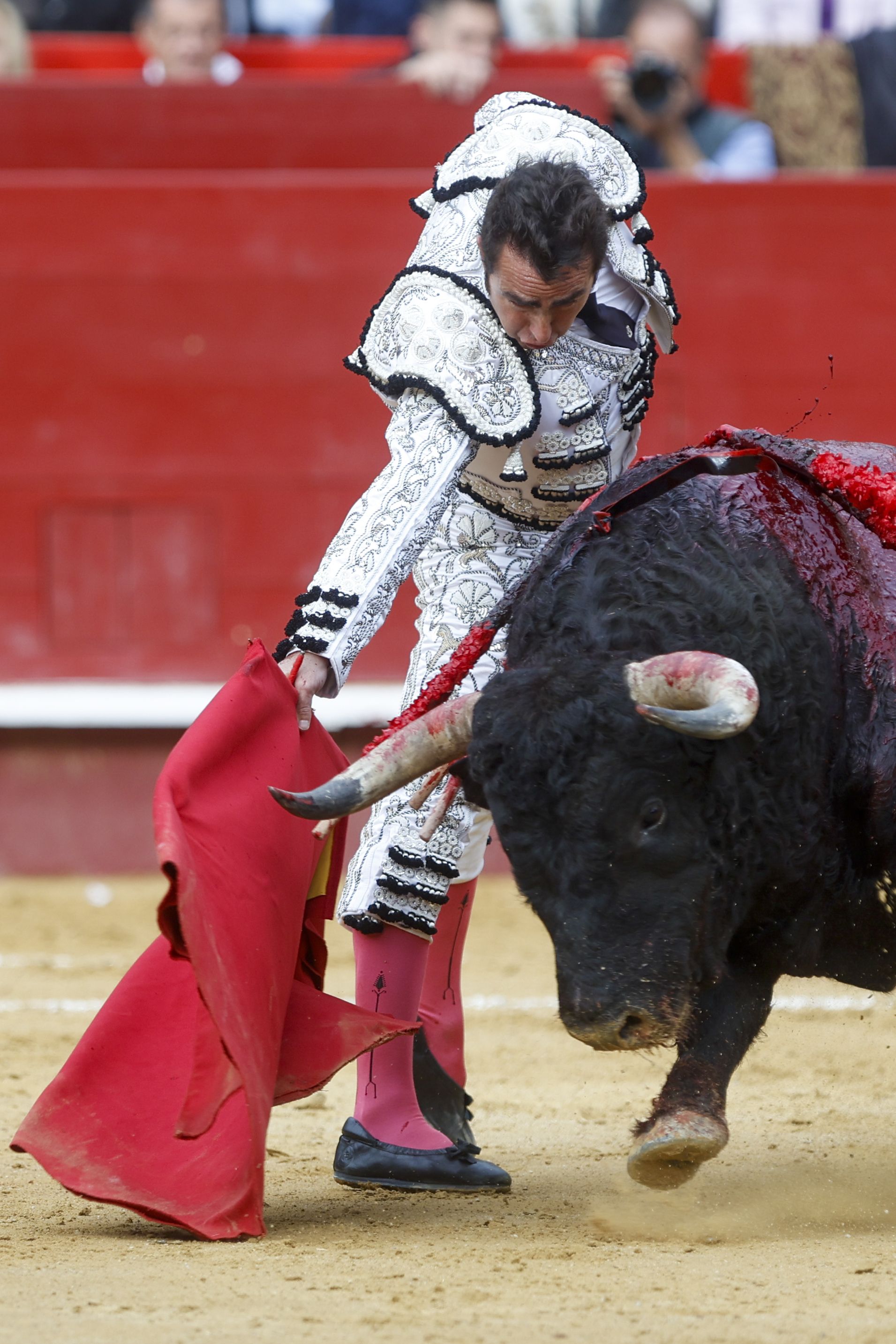 Fotos de la corrida de toros de la Feria de Fallas del 19 de marzo