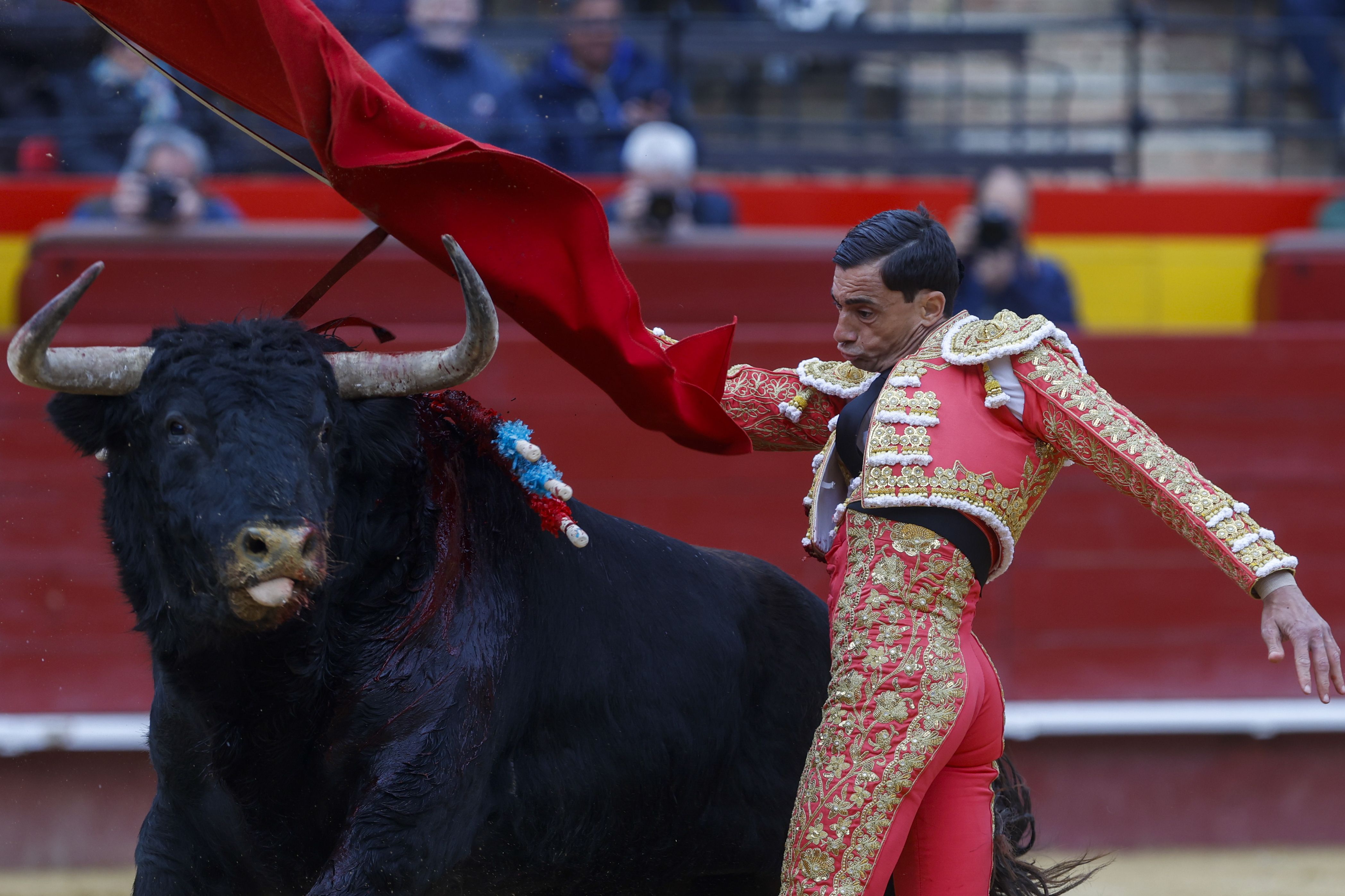 Fotos de la corrida de toros de la Feria de Fallas del 19 de marzo