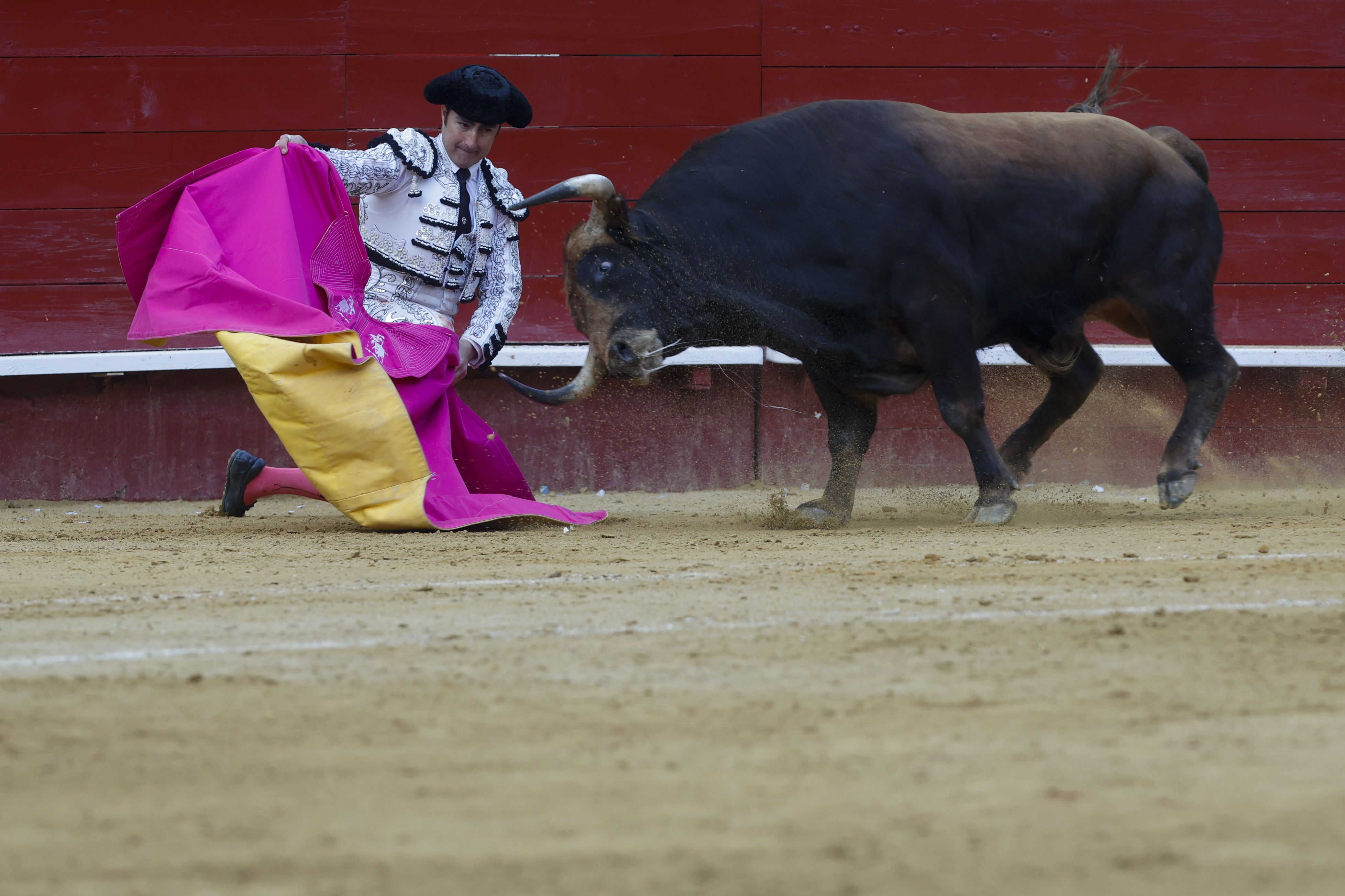 Fotos de la corrida de toros de la Feria de Fallas del 19 de marzo