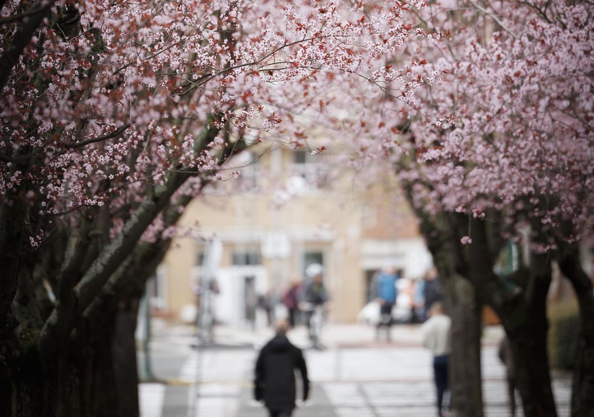 ¿Cuándo empieza la primavera 2024?