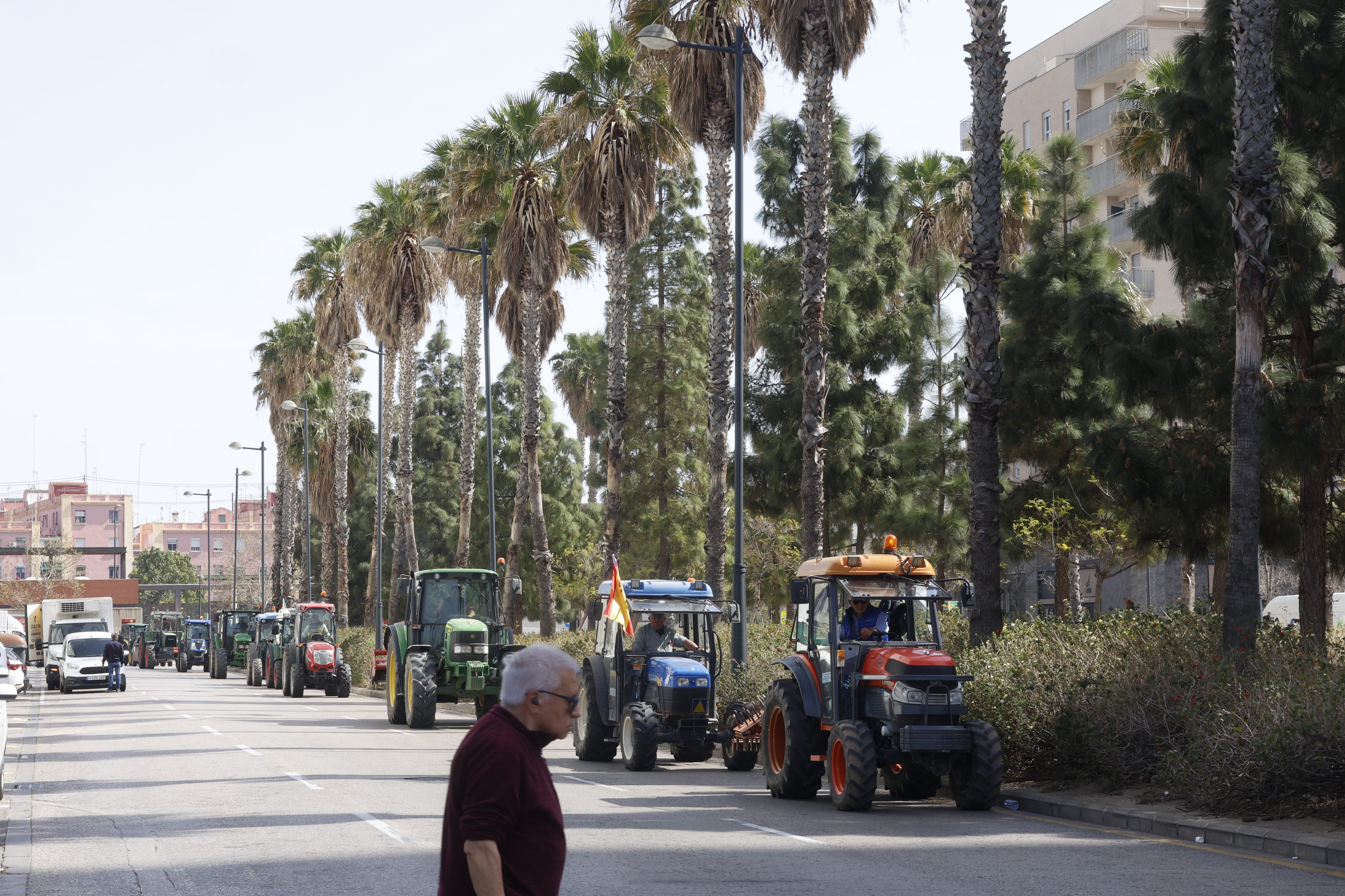 Los agricultores valencianos vuelven a tomar la calle con sus tractores, en imágenes