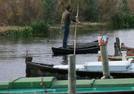 Embarcadero de la Albufera.