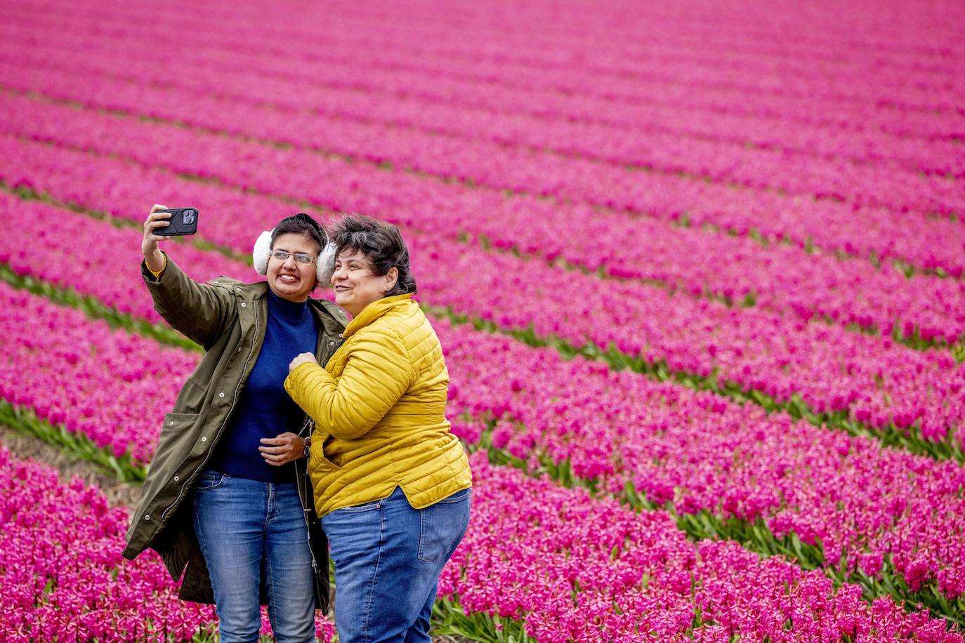 El mayor jardín de tulipanes del mundo abre sus puertas en primavera