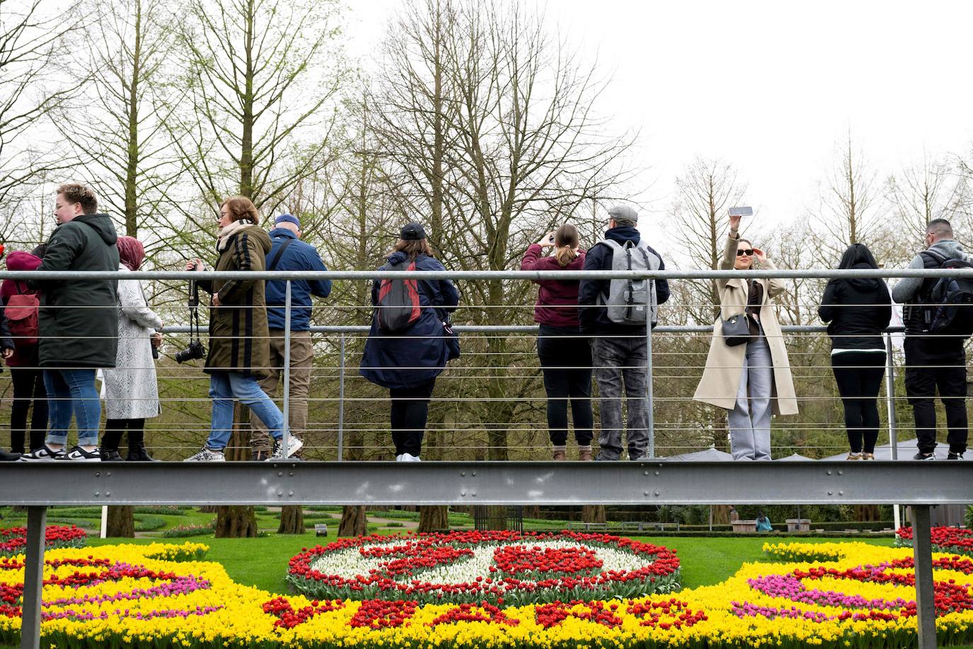 El mayor jardín de tulipanes del mundo abre sus puertas en primavera