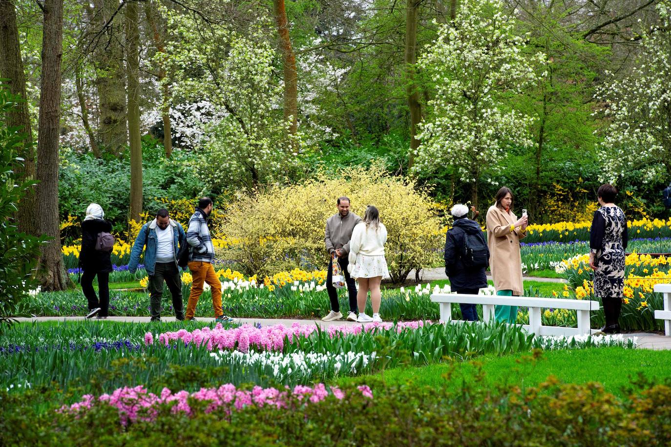 El mayor jardín de tulipanes del mundo abre sus puertas en primavera