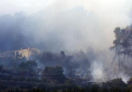 Incendio de Montitxelvo en noviembre de 2023.