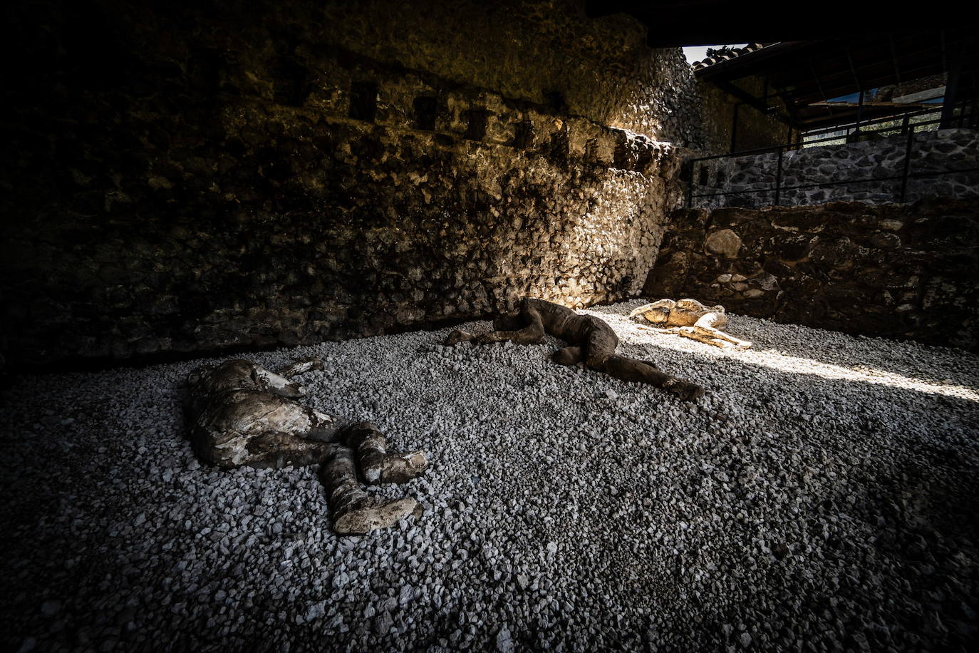 Pompeya expone réplicas de yeso de los fallecidos en la erupción del Vesubio