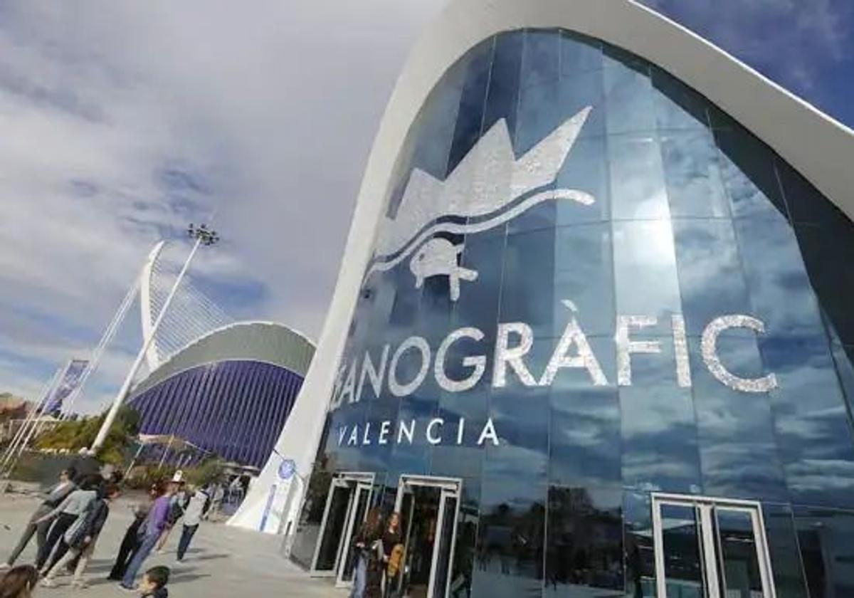 El Oceanogràfic se convierte en el primer acuario español en exhibir la medusa gigante del Mediterráneo