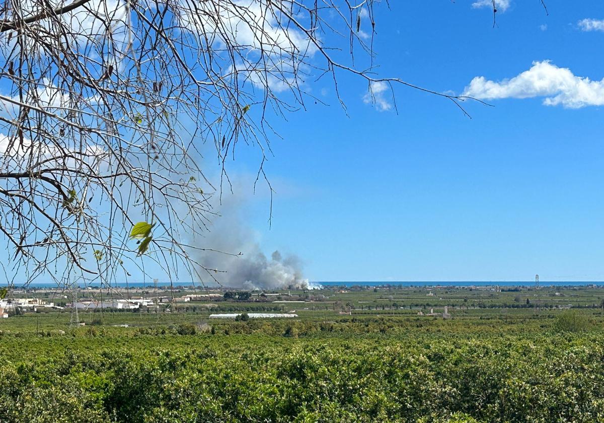 Declarado un incendio en la zona Camí Almardá de Sagunt