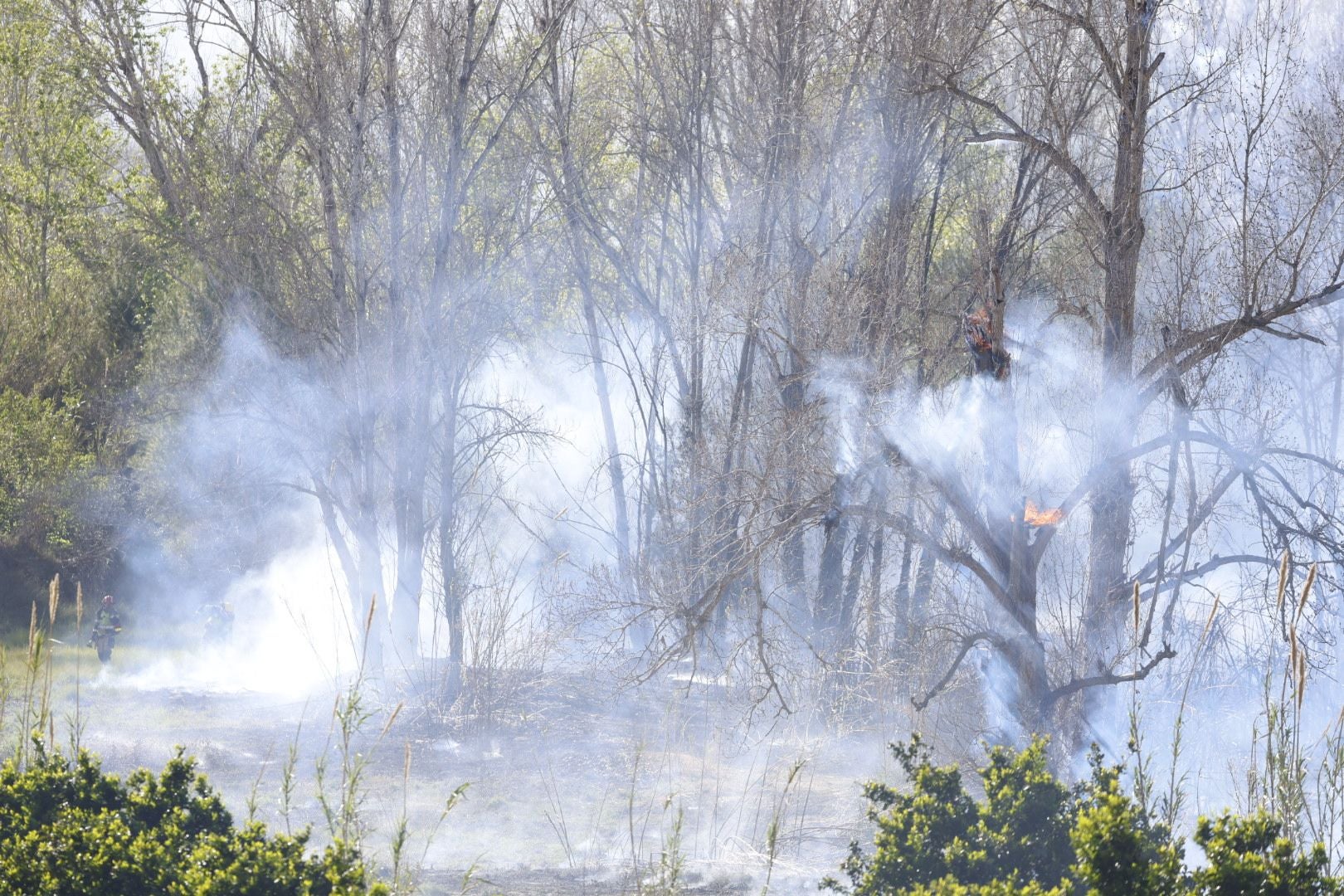 Declarado un incendio forestal en el Parque Natural del Túria