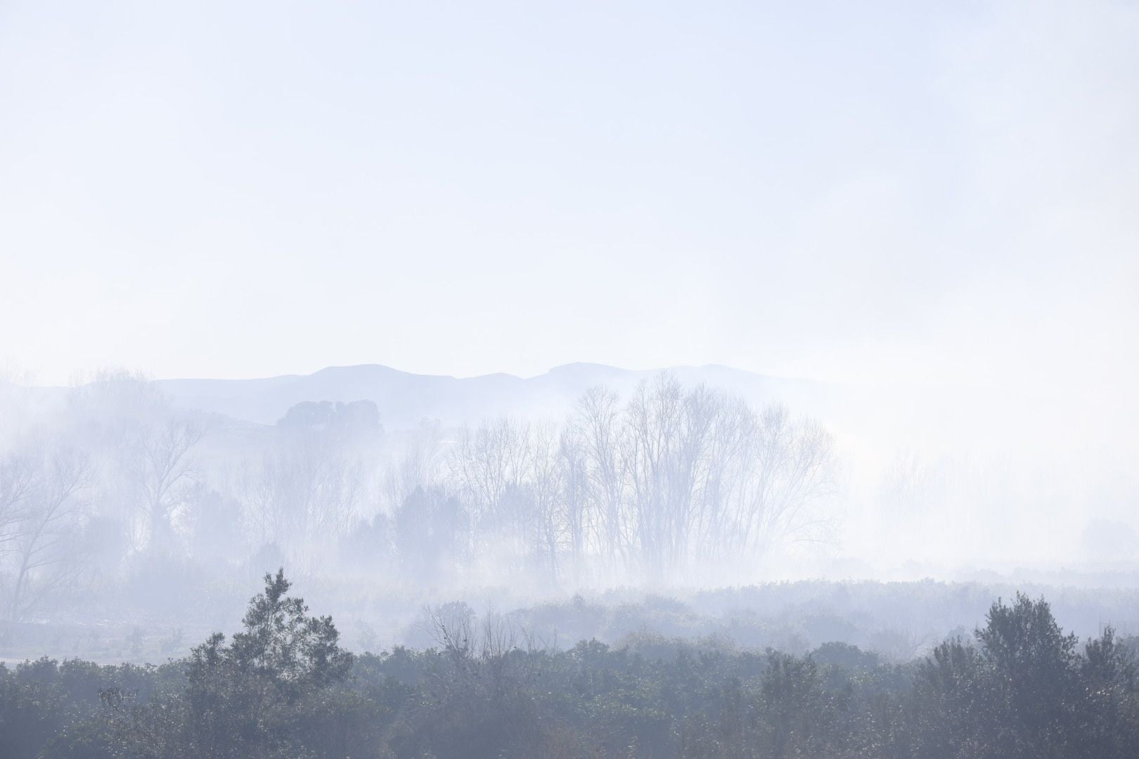 Declarado un incendio forestal en el Parque Natural del Túria