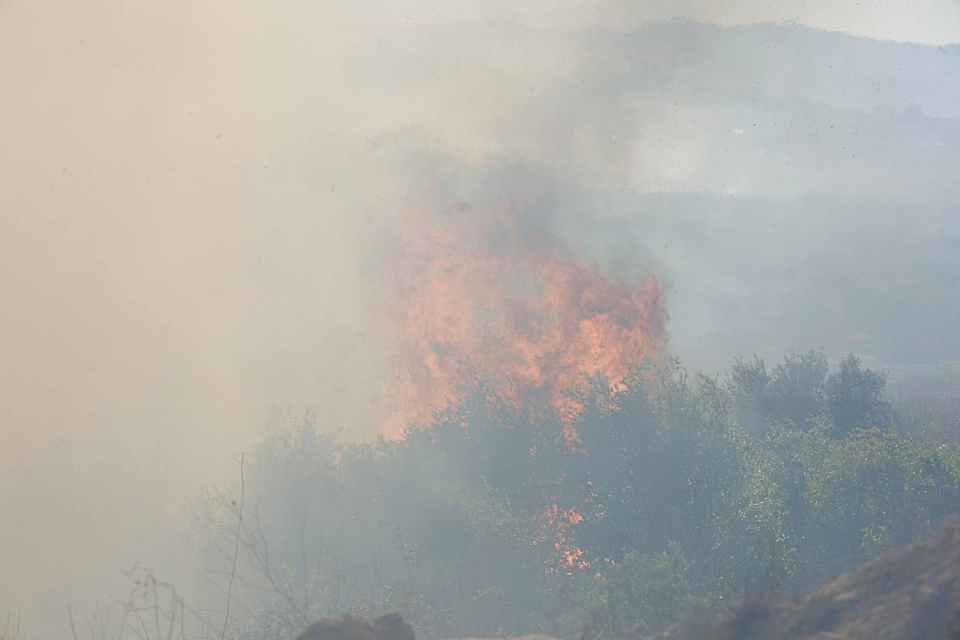 Declarado un incendio forestal en el Parque Natural del Túria