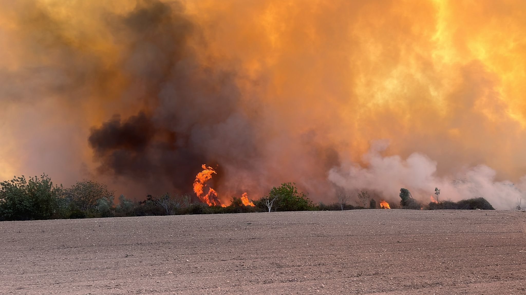 Declarado un incendio forestal en el Parque Natural del Túria