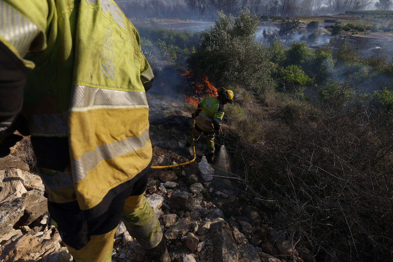 Declarado un incendio forestal en el Parque Natural del Túria