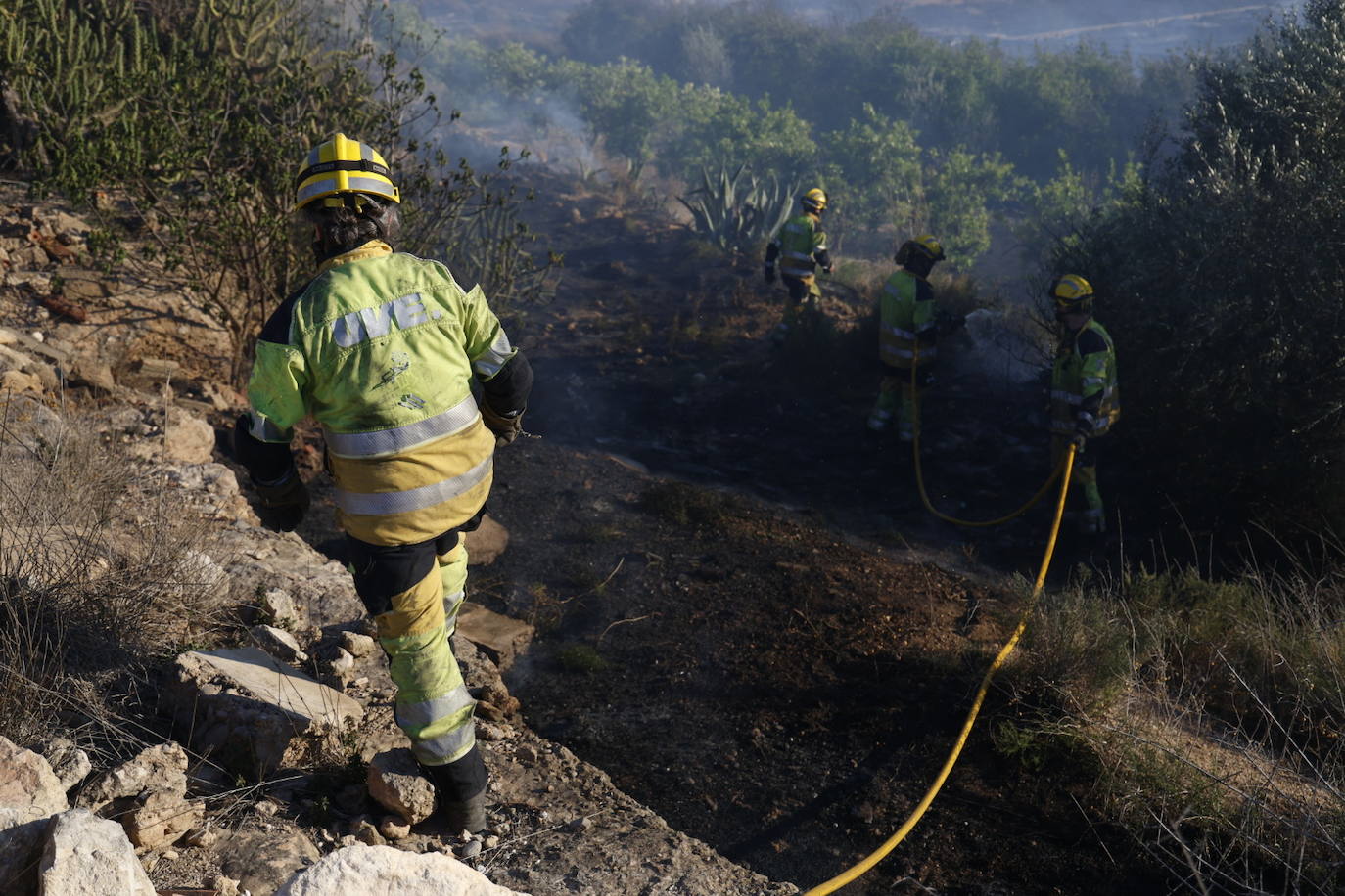 Declarado un incendio forestal en el Parque Natural del Túria