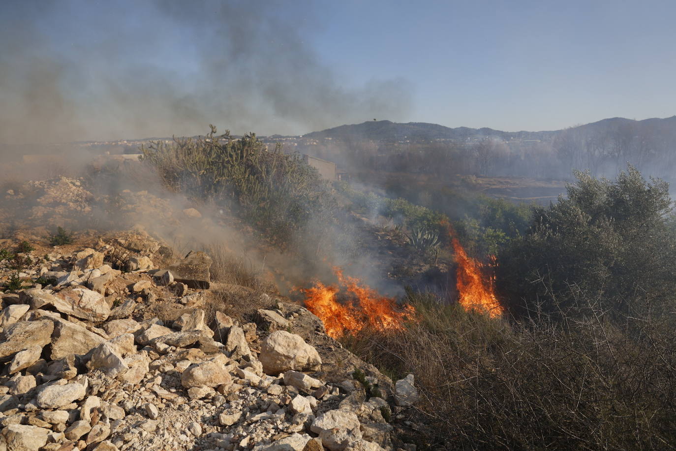 Declarado un incendio forestal en el Parque Natural del Túria