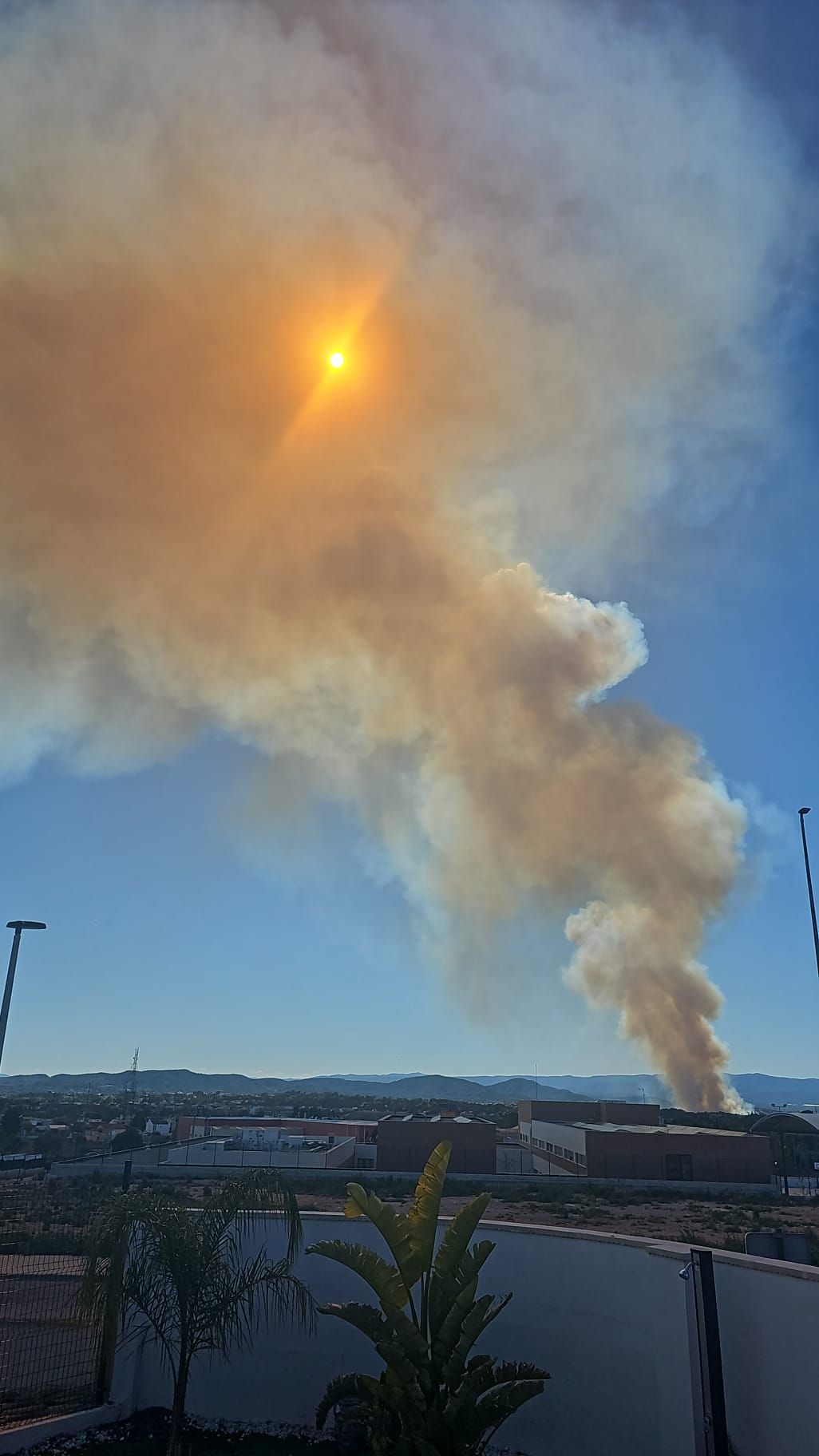 Declarado un incendio forestal en el Parque Natural del Túria