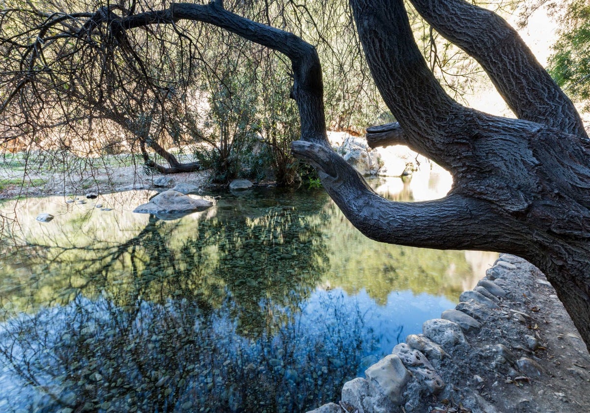 Uno de los paisajes que podremos disfrutar en la Serra Bernia.