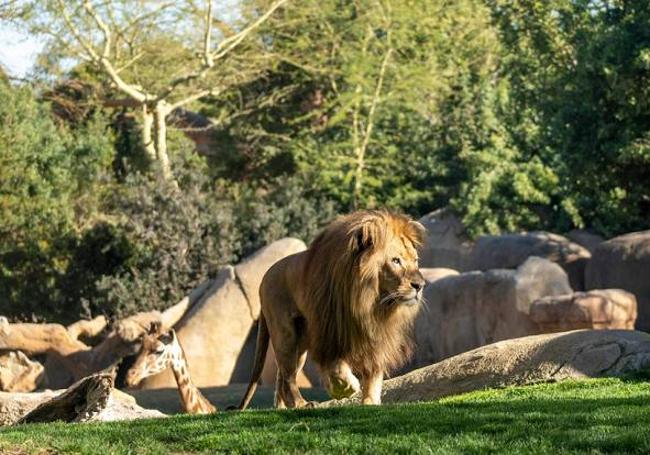 BIOPARC Valencia