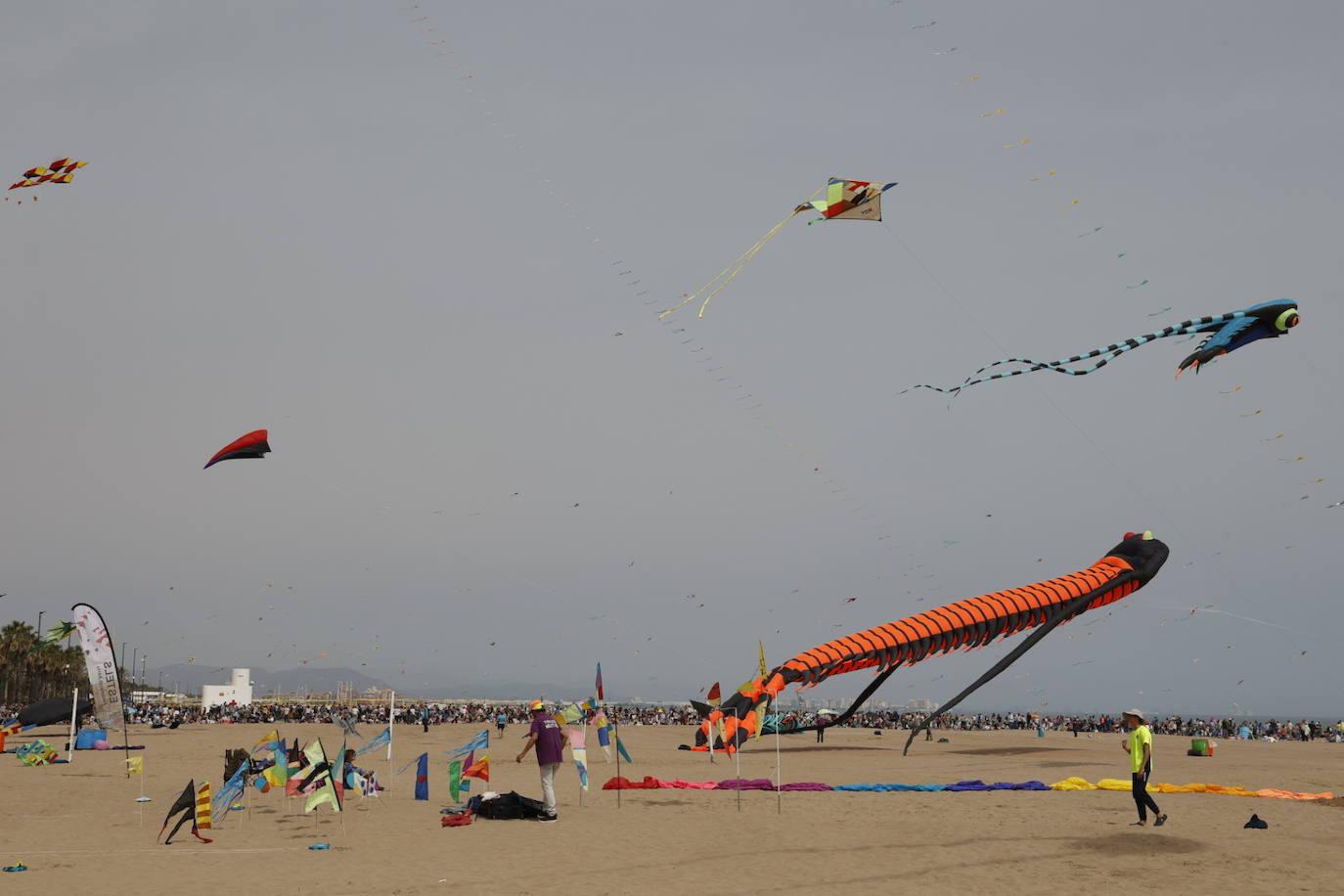 Fotos del festival de cometas en Valencia 2024