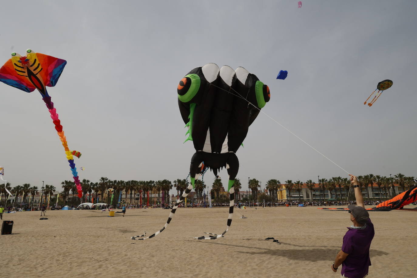 Fotos del festival de cometas en Valencia 2024