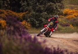 Tosha Schareina, en una de las etapas de este Rally de Portugal