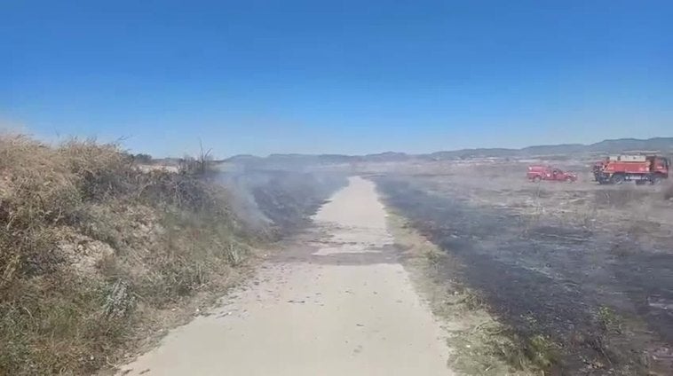 Un incendio mantiene en jaque a varios municipios de la Vall d'Albaida
