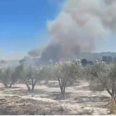 El fuego se ha iniciado en un campo de cultivo.