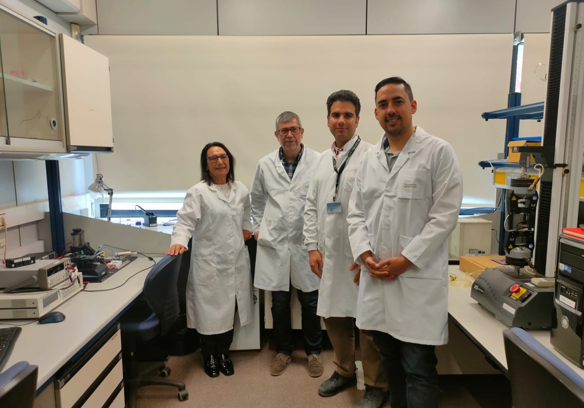 El equipo investigador de la Universitat de València.