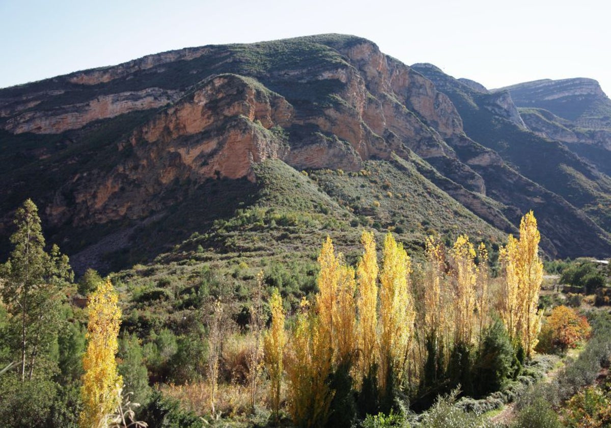 Vistas del lateral de la montaña por la ruta verde.