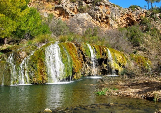 Toscas, en la ruta verde del Parc Natural de Sot de Chera.