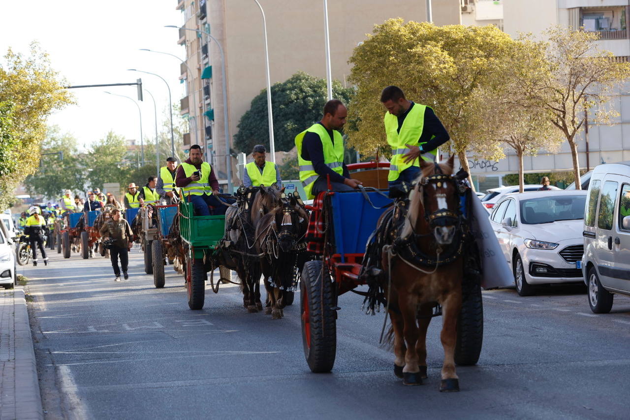 Agricultores y ganaderos marchan por las calles de Valencia con caballos y carros, en imágenes