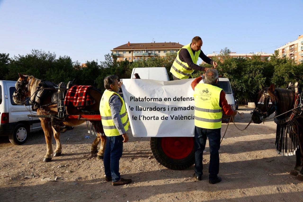 Agricultores y ganaderos marchan por las calles de Valencia con caballos y carros, en imágenes