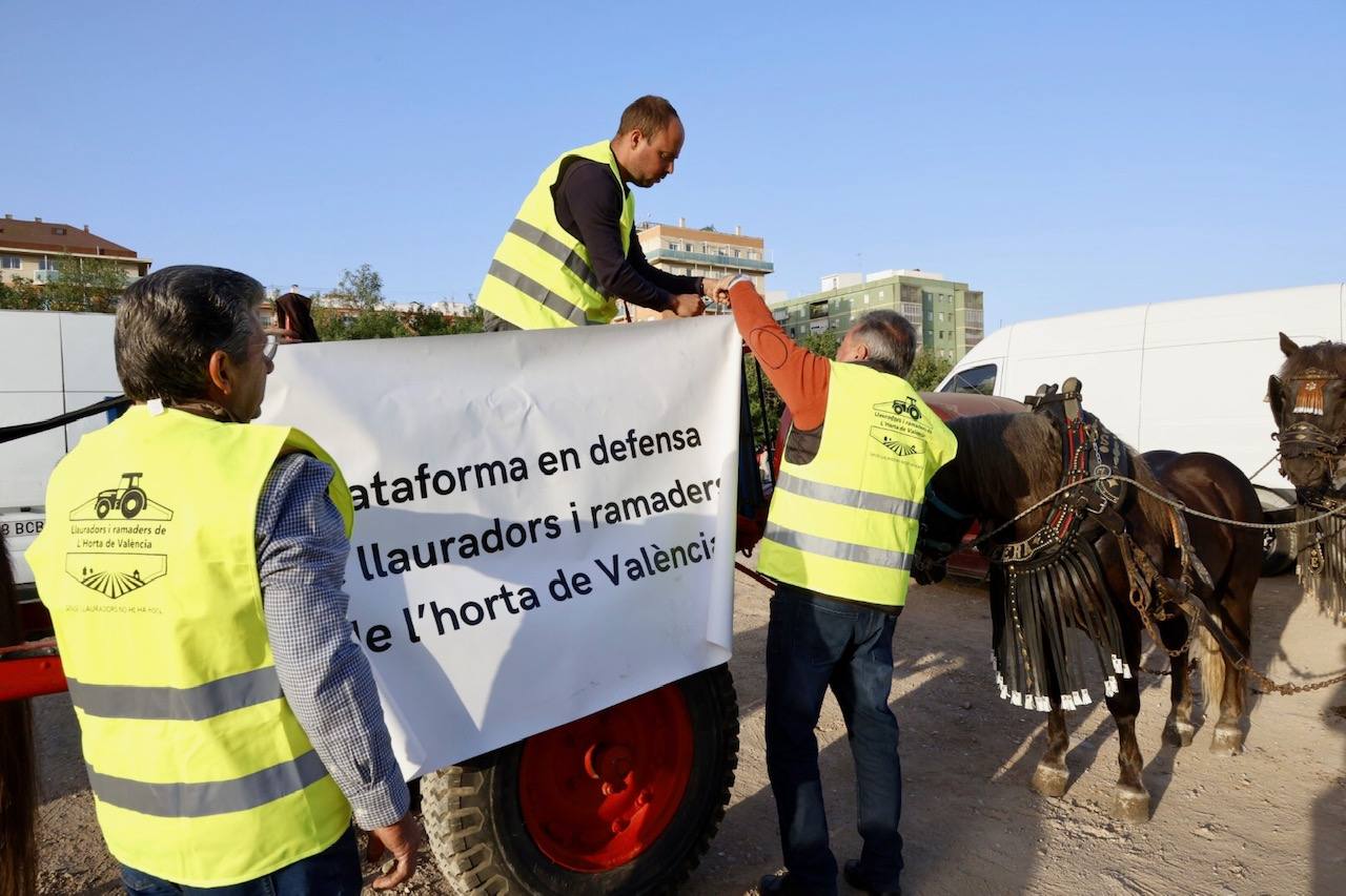 Agricultores y ganaderos marchan por las calles de Valencia con caballos y carros, en imágenes