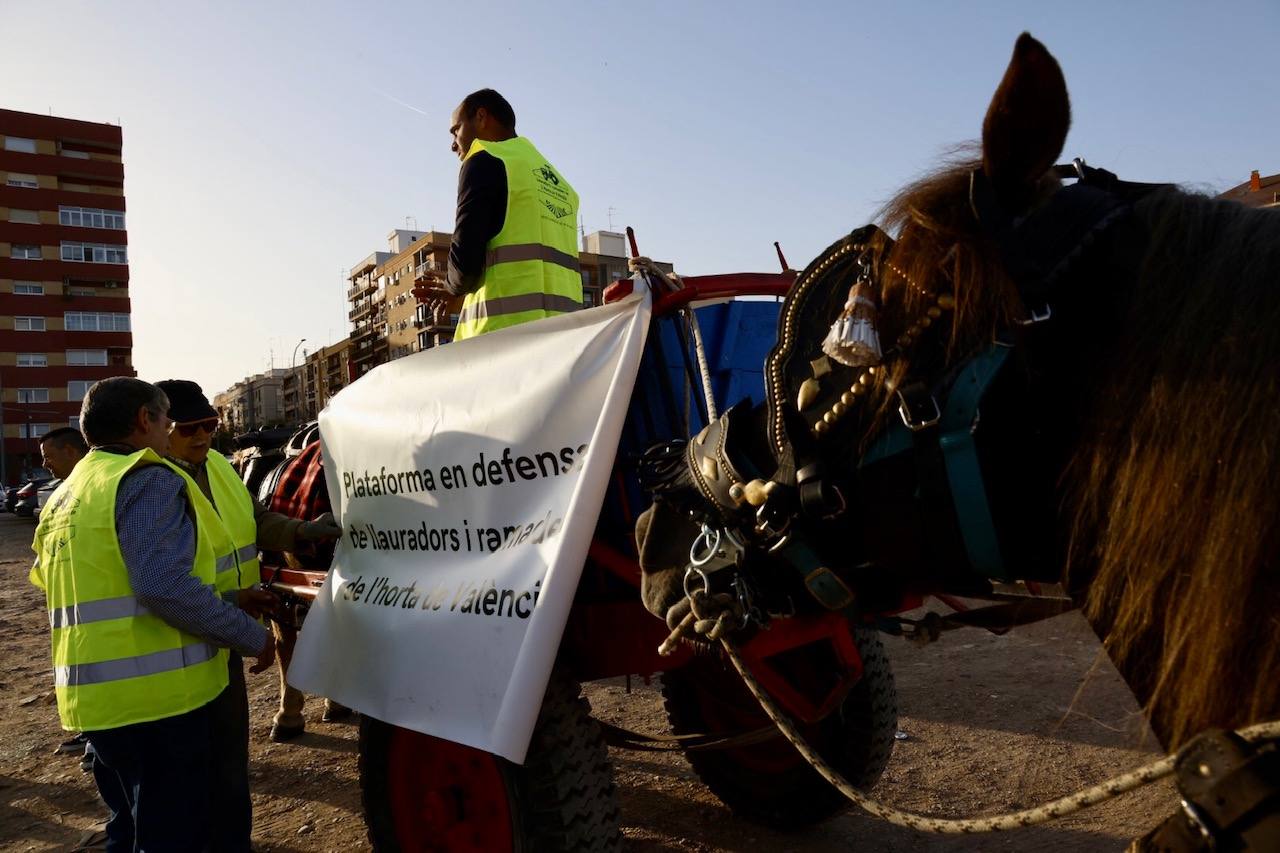 Agricultores y ganaderos marchan por las calles de Valencia con caballos y carros, en imágenes