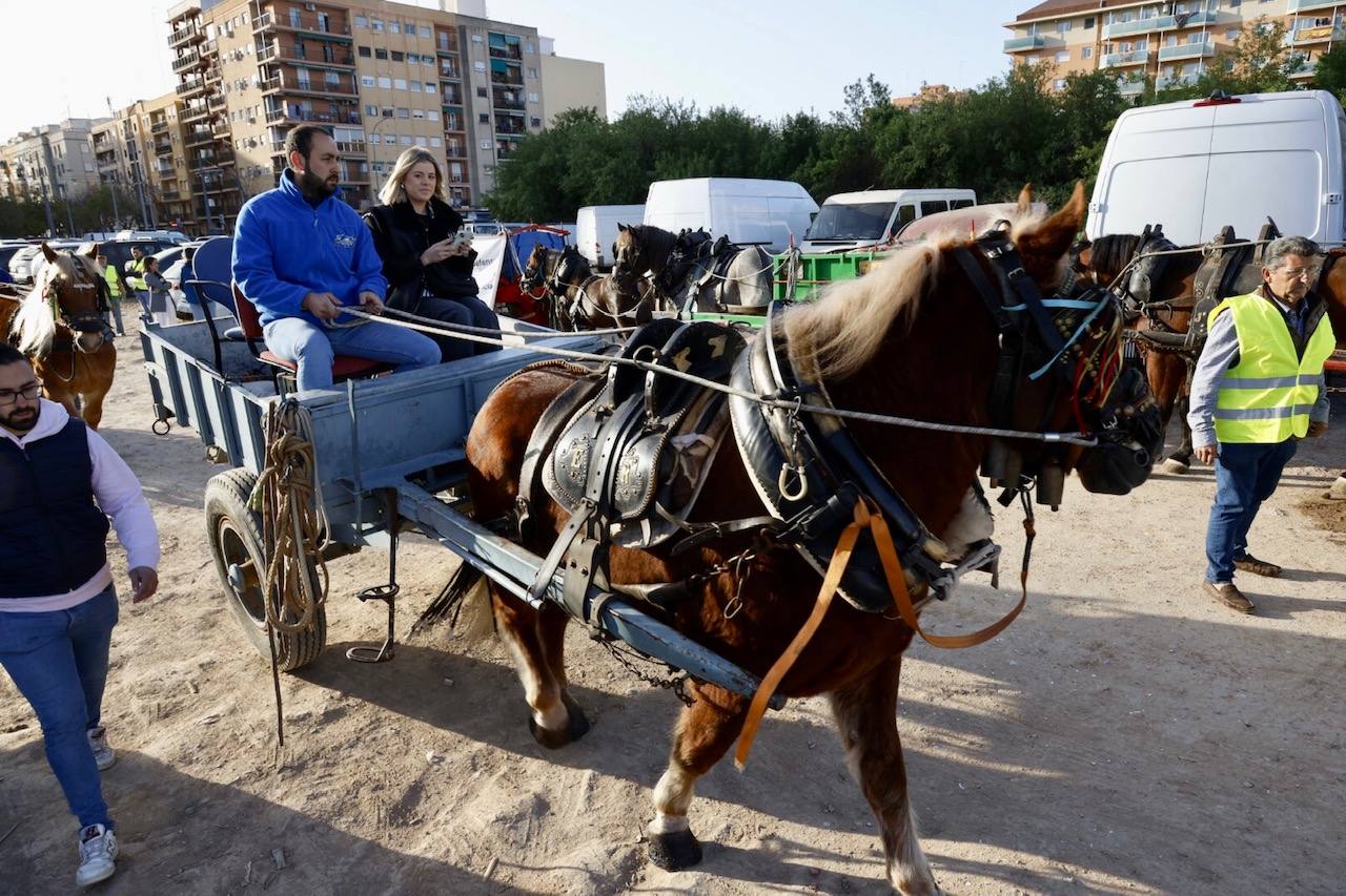 Agricultores y ganaderos marchan por las calles de Valencia con caballos y carros, en imágenes