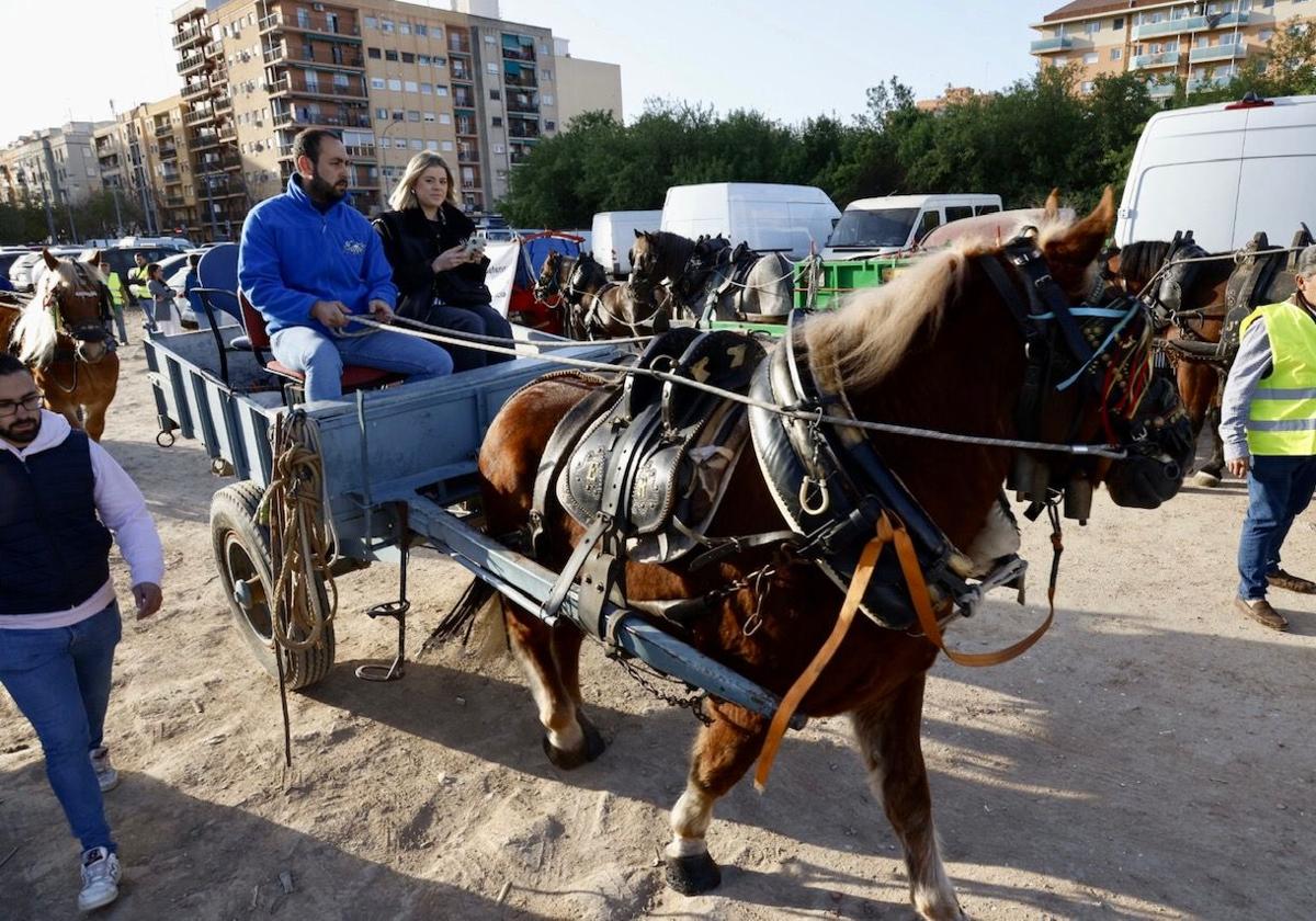 Protesta de agricultores este viernes en Valencia.