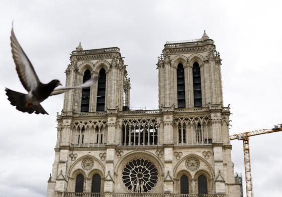 La catedral de Notre-Dame con una grúa al fondo.